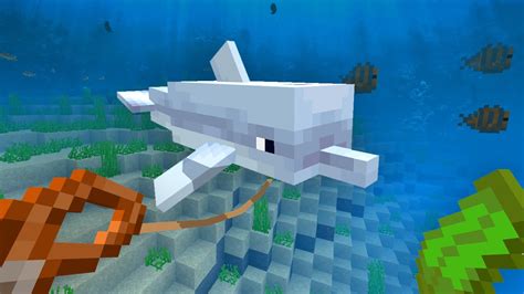 This attitude usually occurs from the first time you feed this creature but, in some cases, you have to try to feed it several times. . How to tame dolphins in minecraft